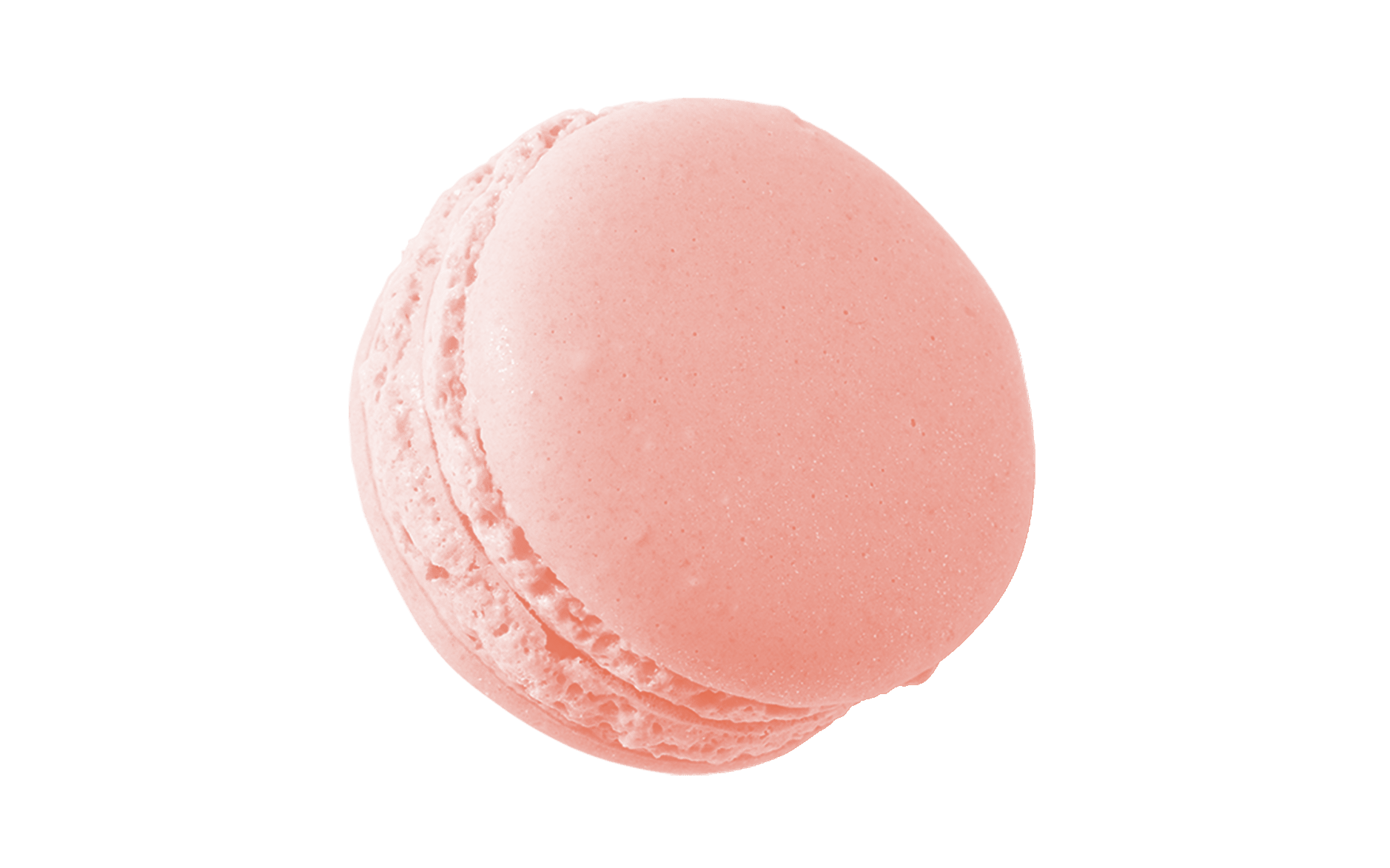 fullie.png