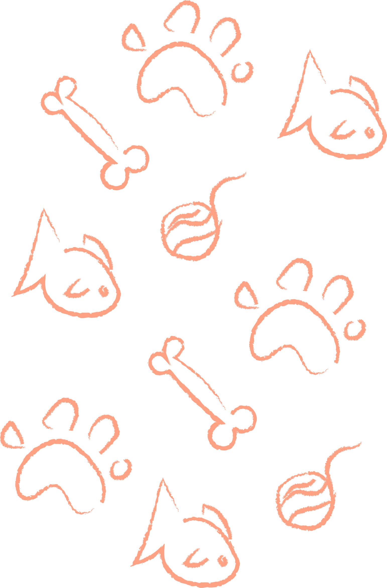 Asset 4@4x.png