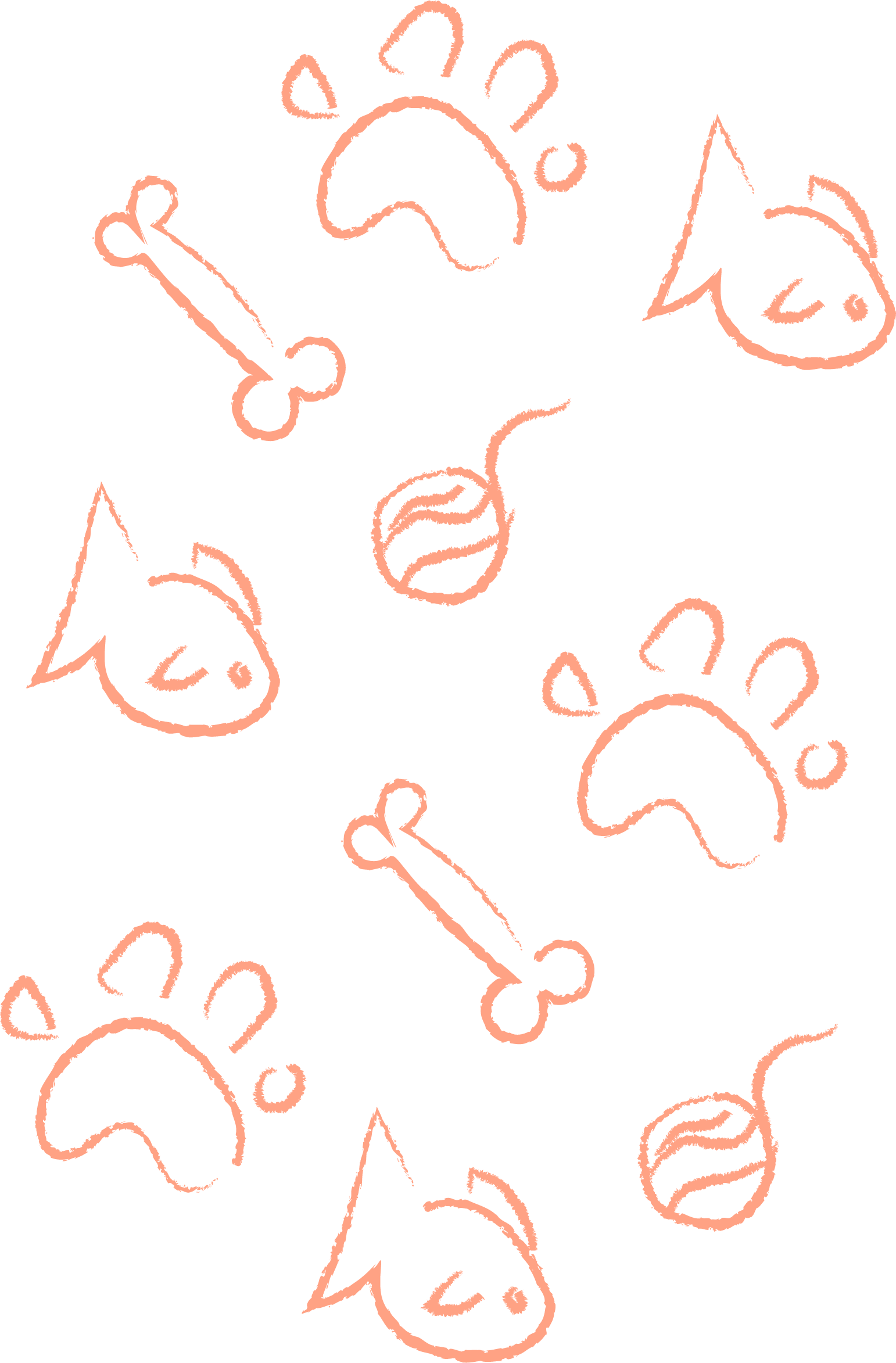 Asset 4@4x.png