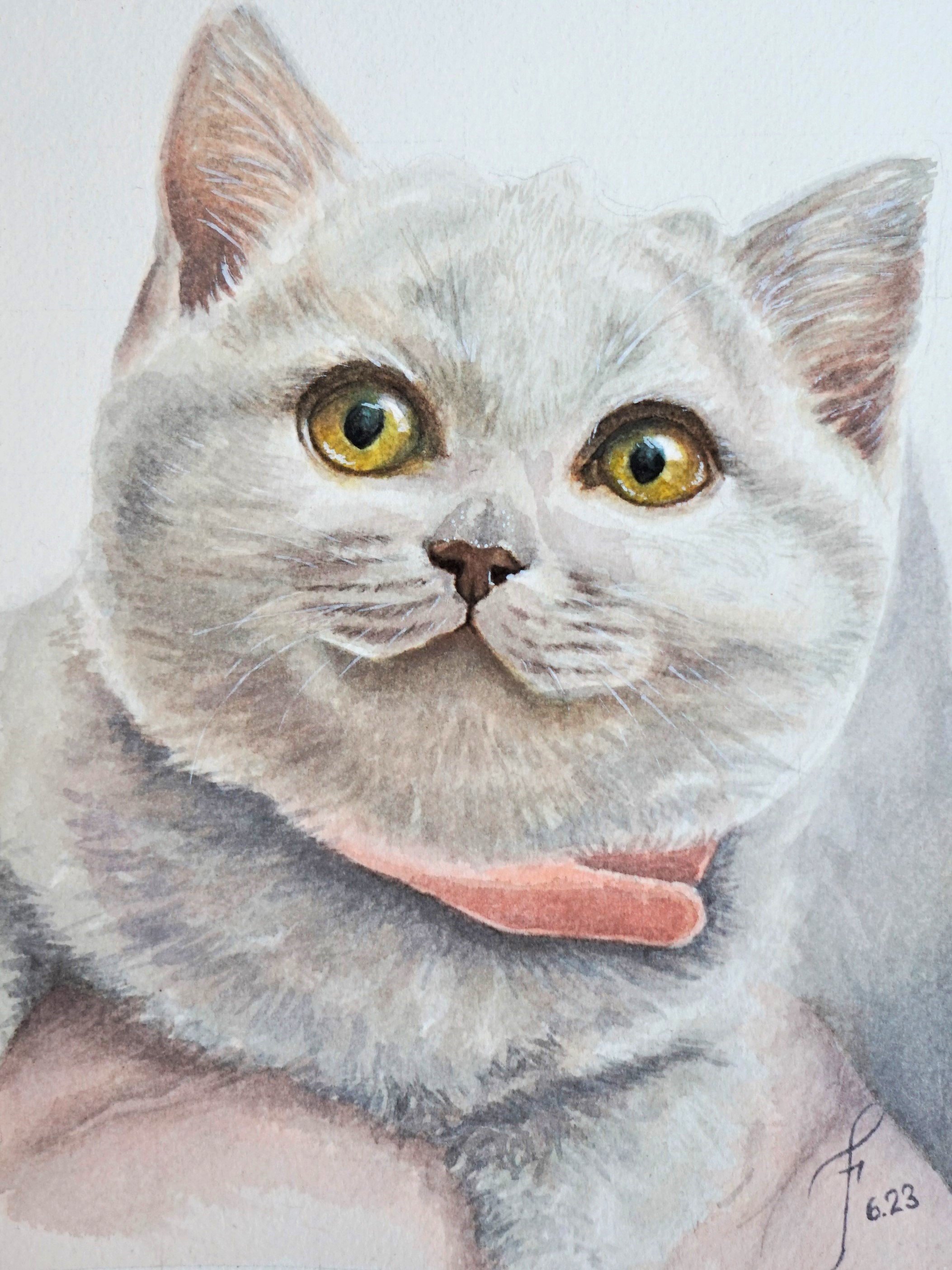 Mochi