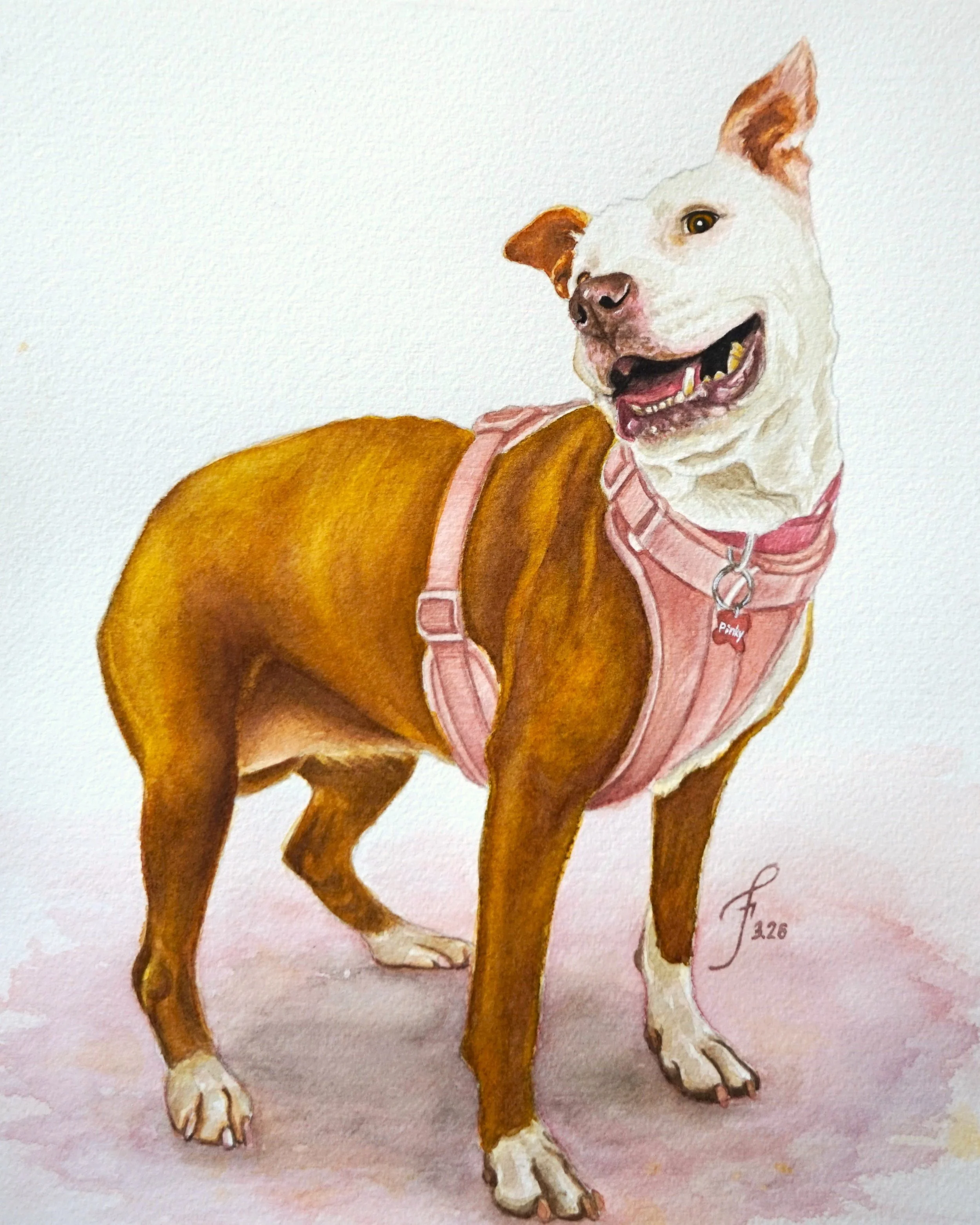 Pinky from Muttville