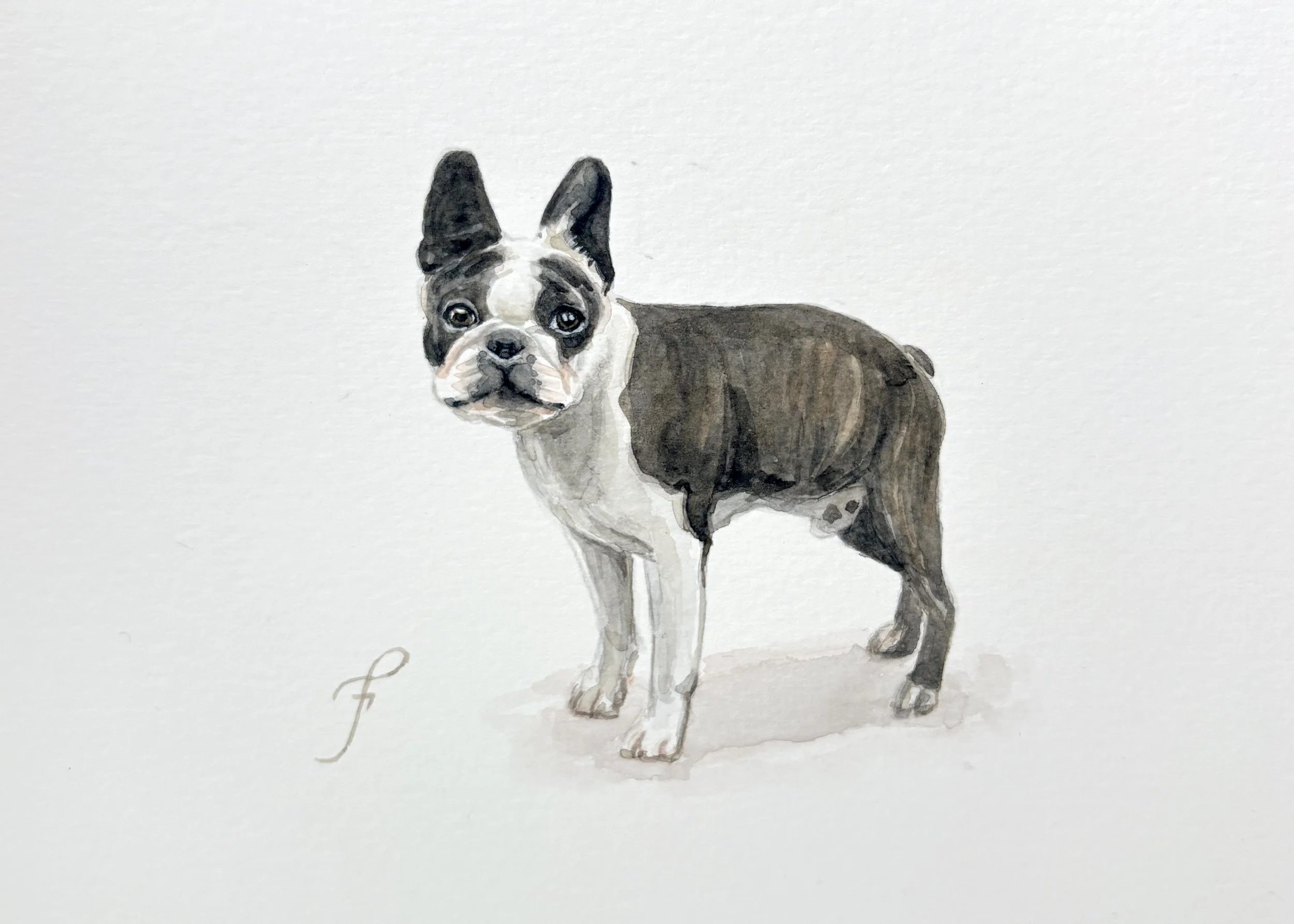 Full-Body Mini Portrait