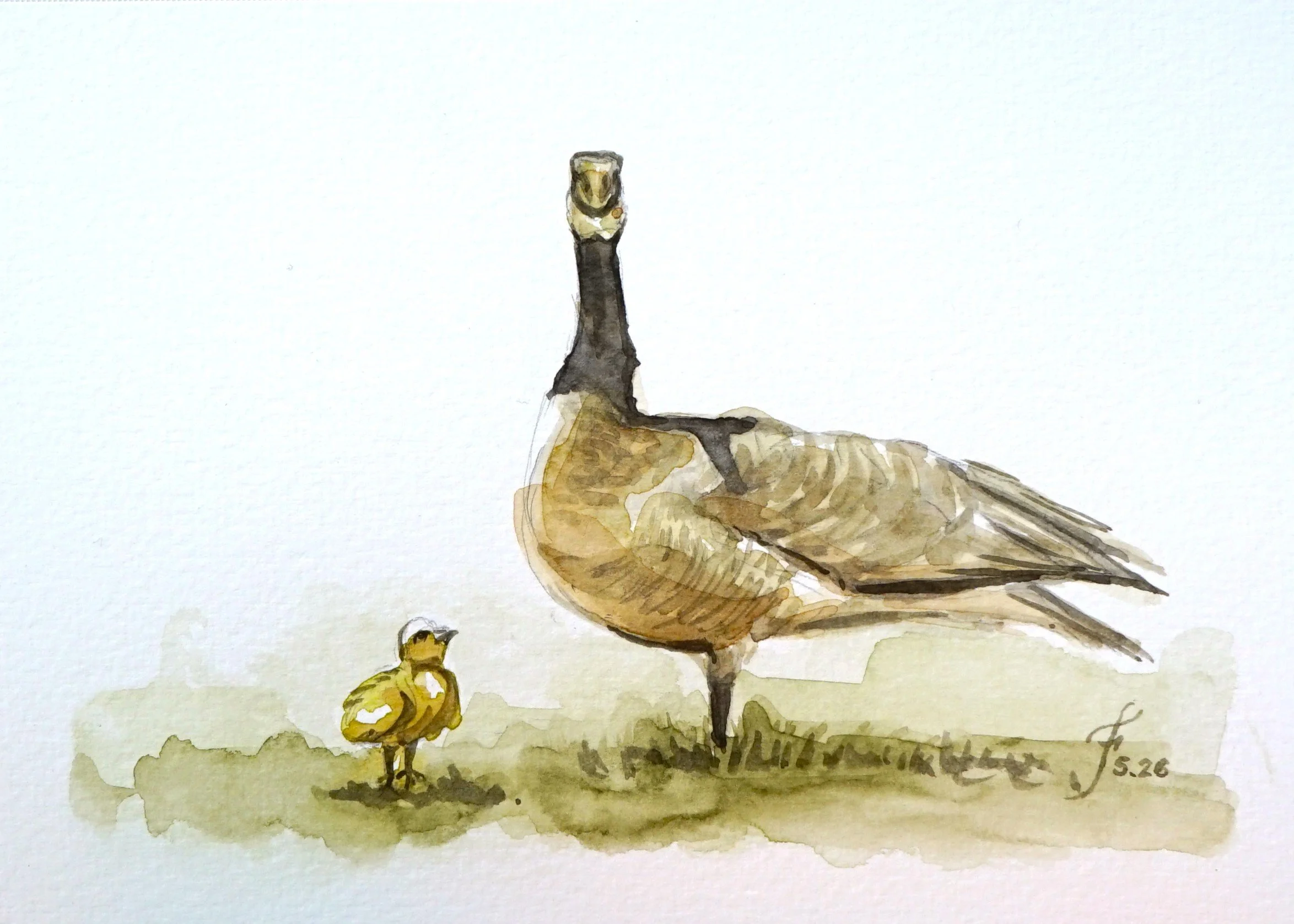 Mama Goose and Gosling