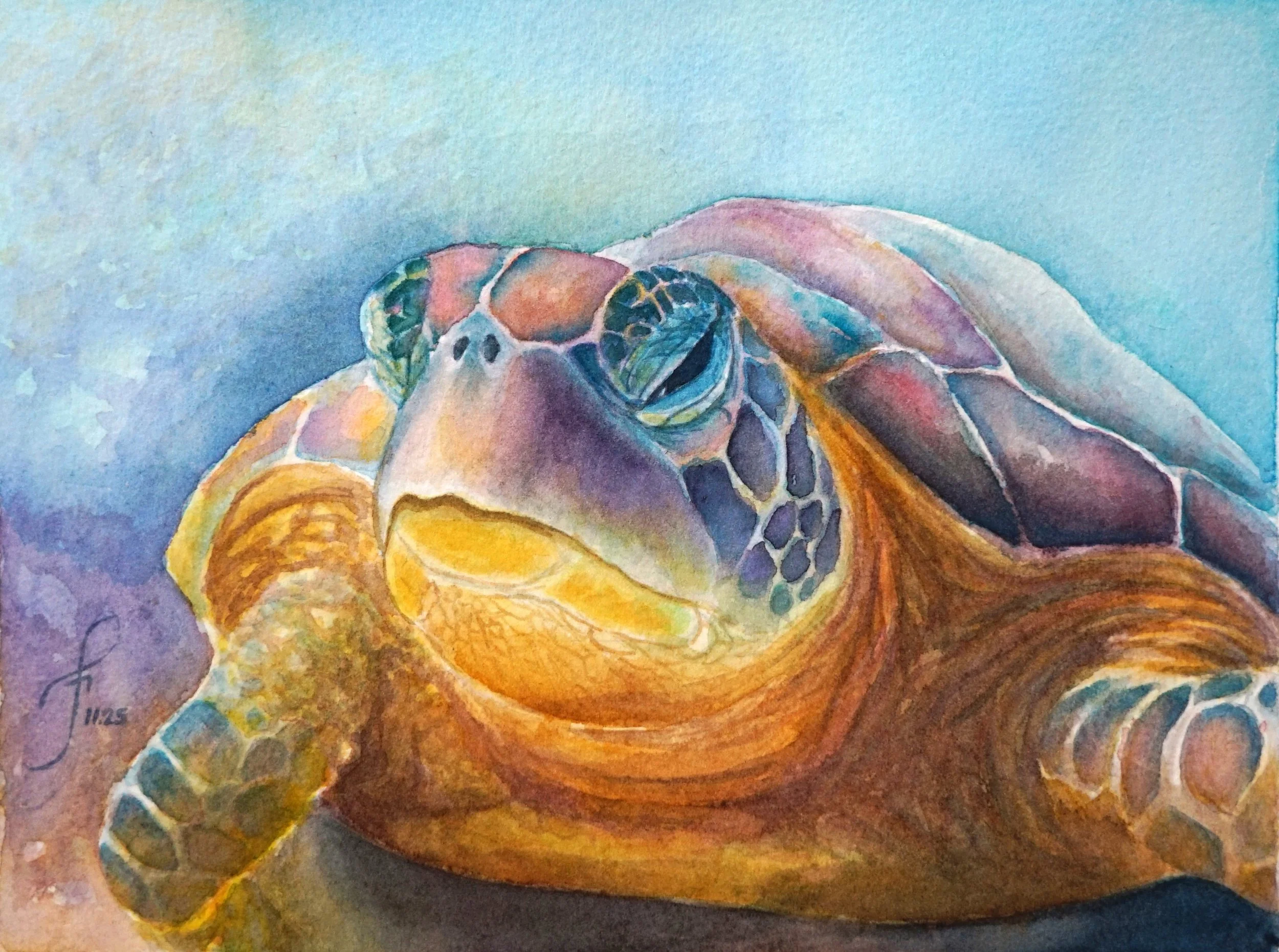 The Ocean's Gardener