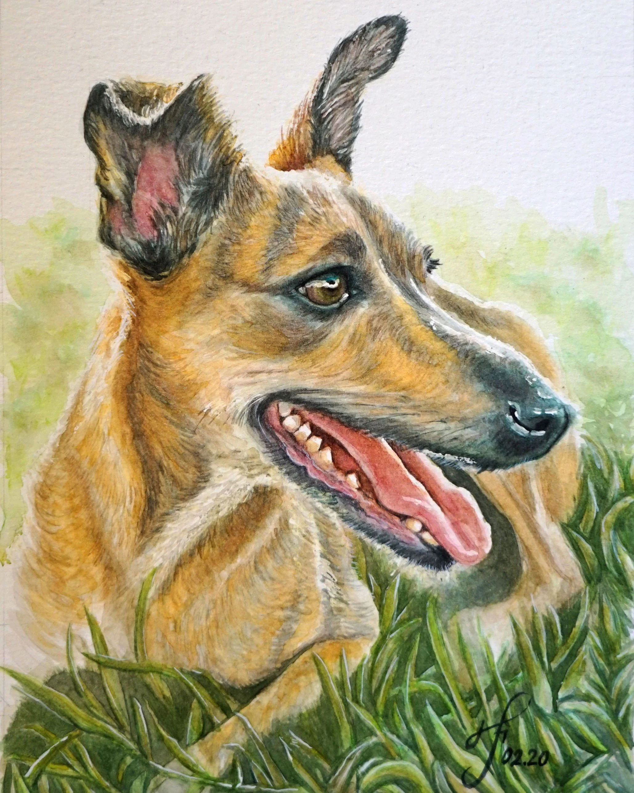 Jessica's sister Dog 2020.jpg