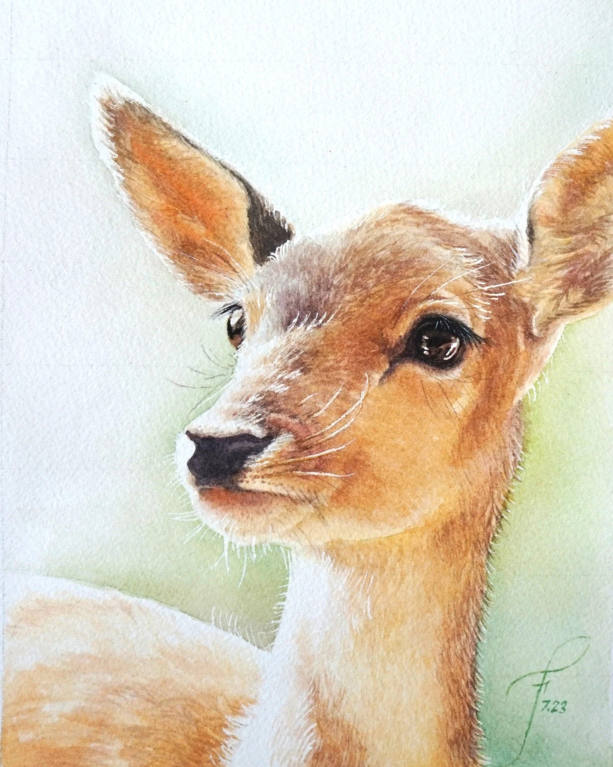 Bambi