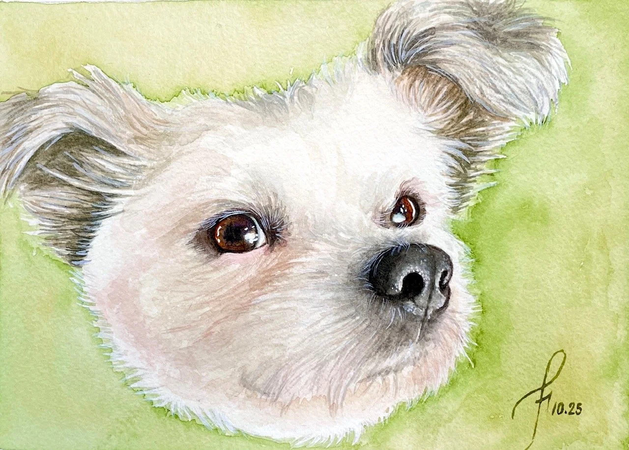 Close-Up Portrait