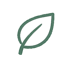 Outline of a single green leaf with a visible vein