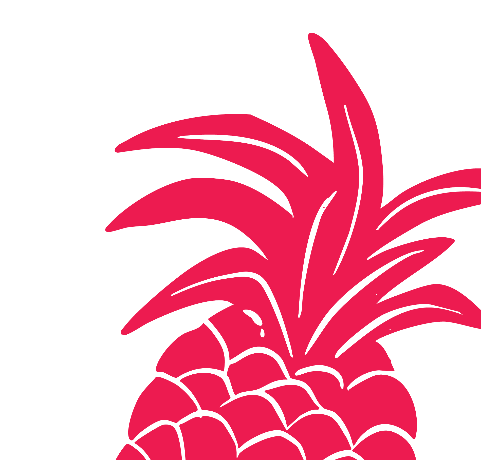 A stylized pink flower with black outlines on a black background.