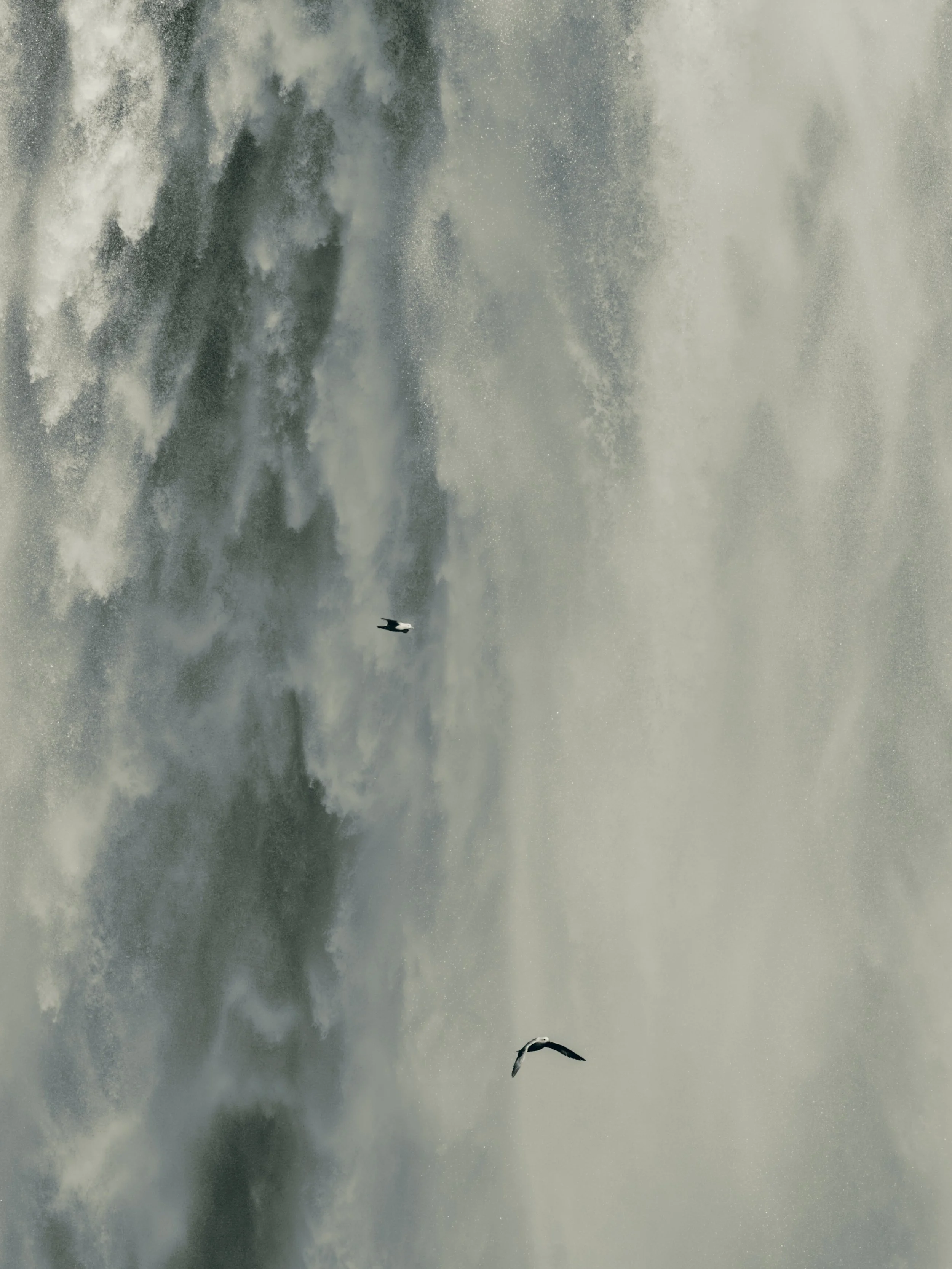Birds flying in front of Skogafoss in Iceland