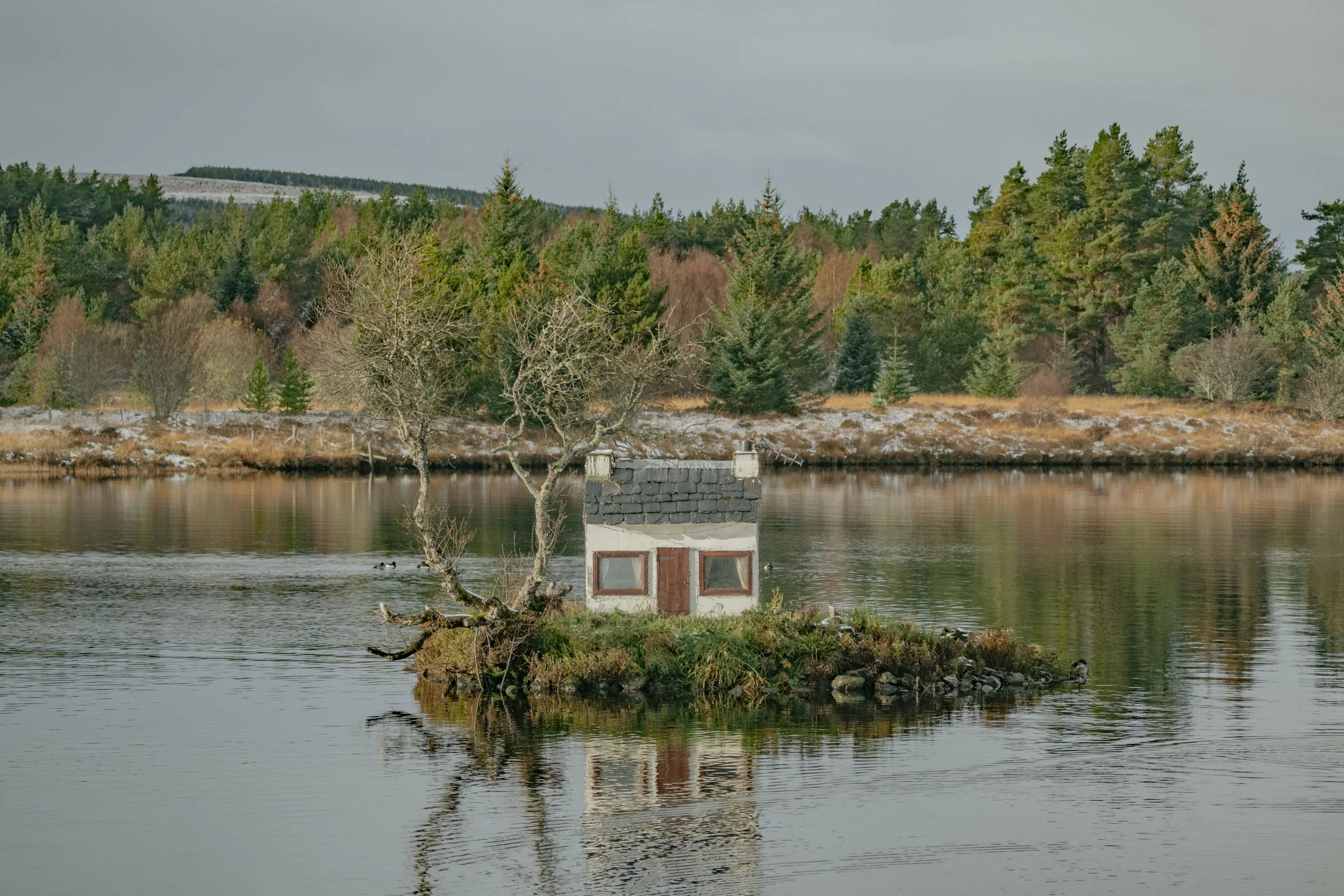 A small house is partially submerged in water, with a leafless tree growing beside it. In the background, there are trees on a hillside with a cloudy sky overhead.