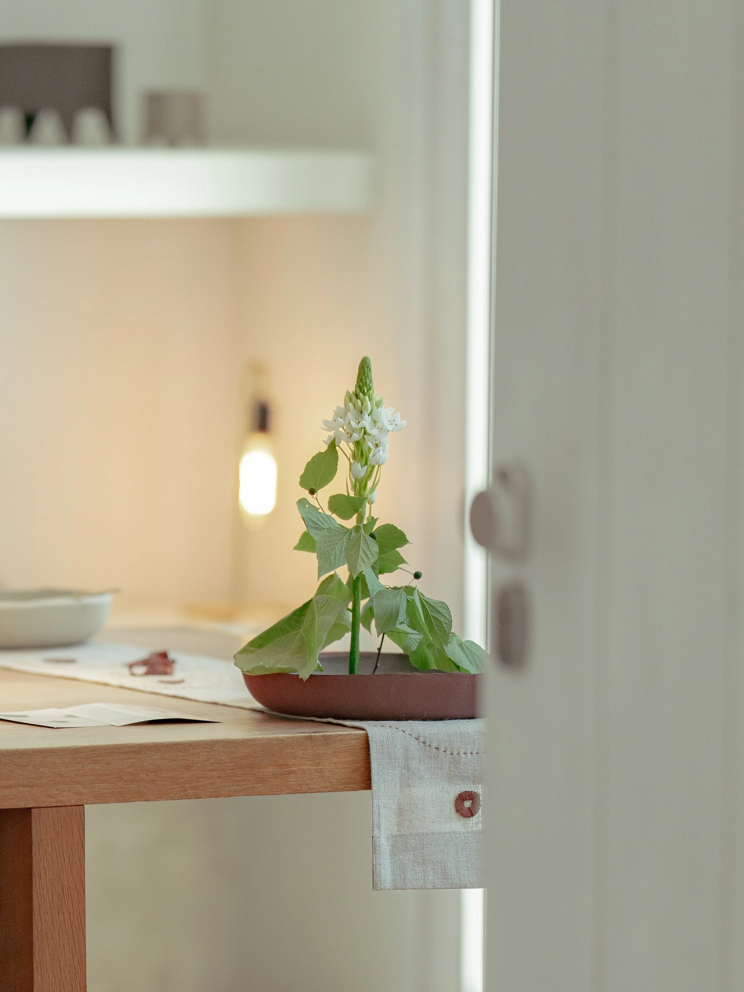 Santa Clara Silent Living Lisbon Interior Photography Architecture 