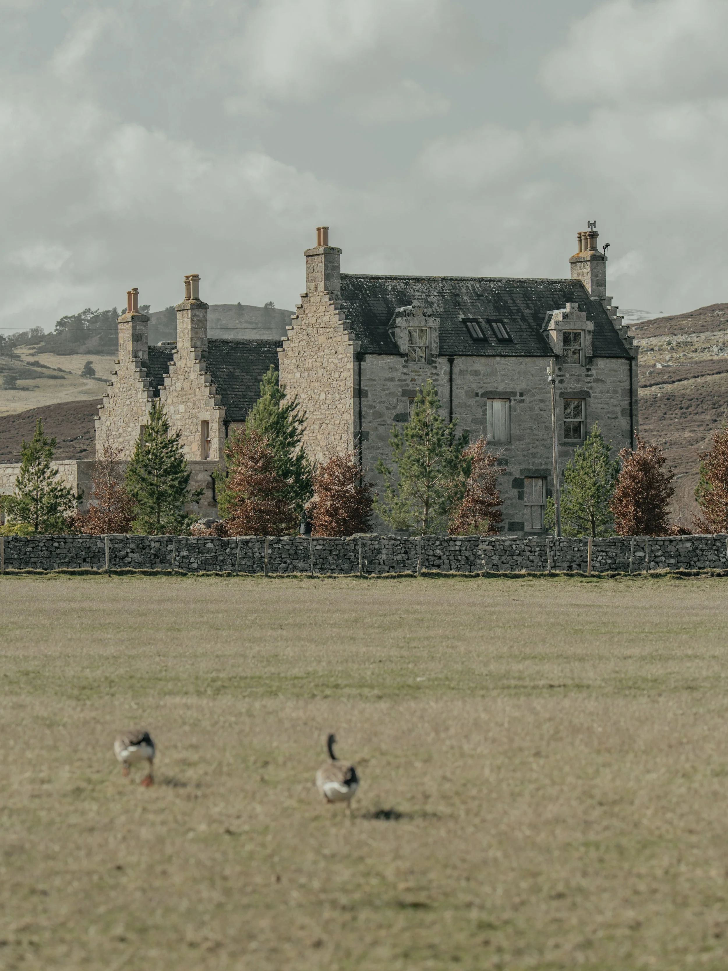 A large stone house with multiple chimneys and a dark roof, surrounded by trees and grass, with a cloudy sky in the background.