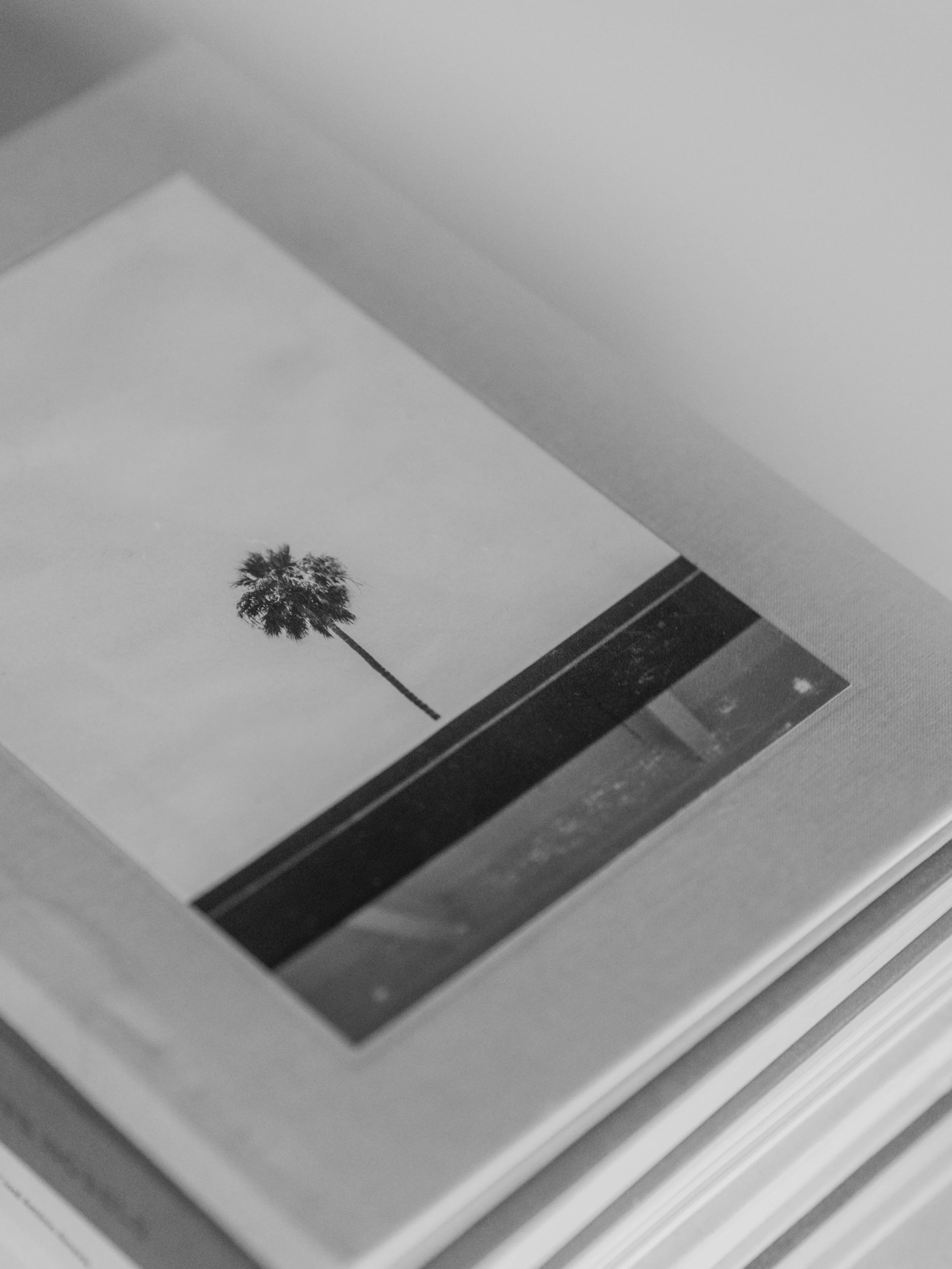 Black and white photo of a desktop computer monitor displaying a picture of a palm tree on a beach.