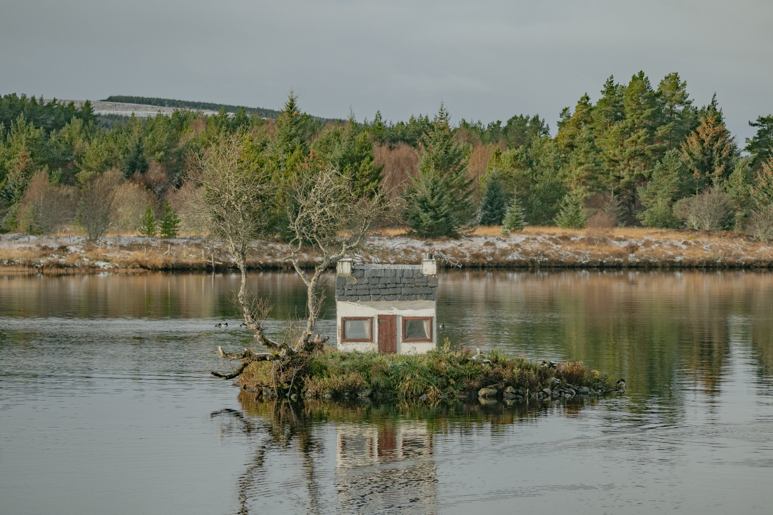 A small house with a red door and a chimney is partially submerged in water near a shoreline, with a forest of evergreen and deciduous trees in the background and a gray, cloudy sky.