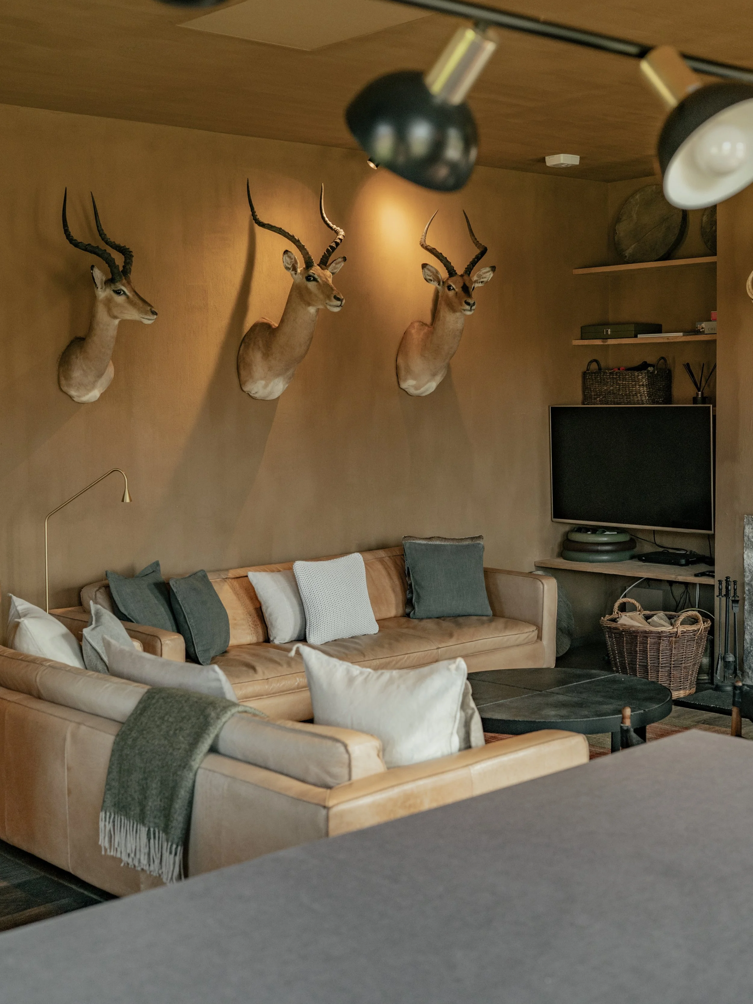 Living room with three mounted deer heads on wooden wall, brown sofas with gray, white, and beige pillows, wicker basket, flat-screen TV, and shelves with baskets and books.