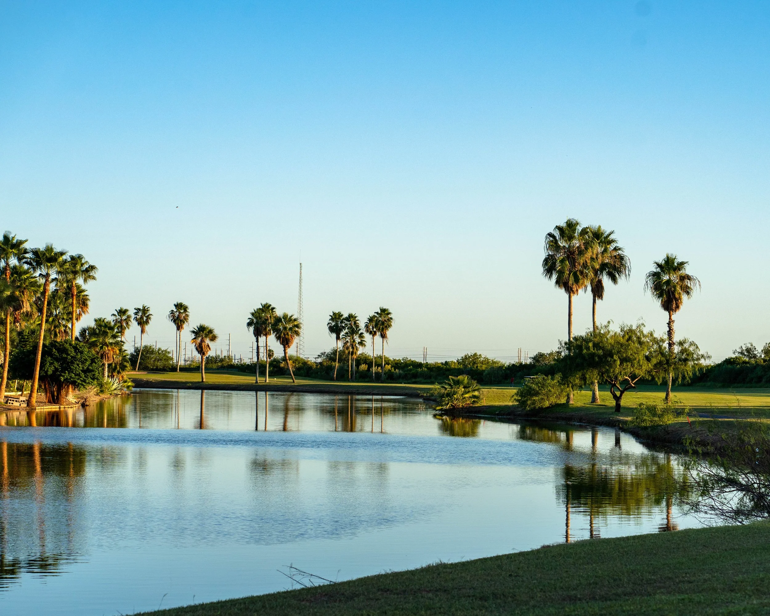 A scenic view of a park with palm trees reflected in a calm body of water, under a clear blue sky.