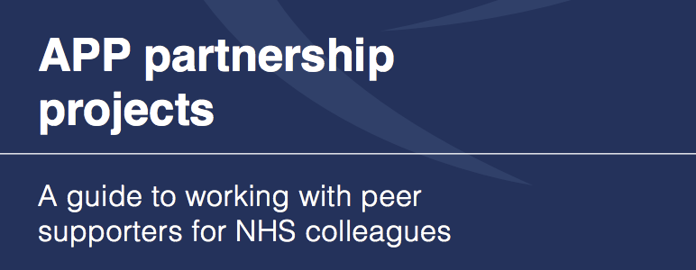 APP peer support in the NHS