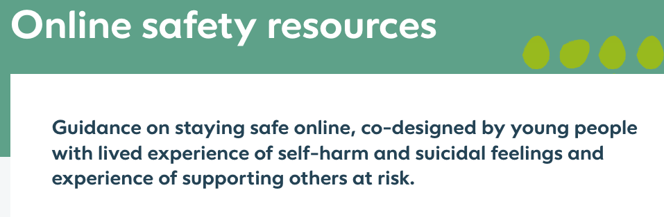 Talking to your child about self-harm and suicide content online - new Samaritans resource published