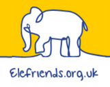 Online consultation with Mind’s Elefriends community