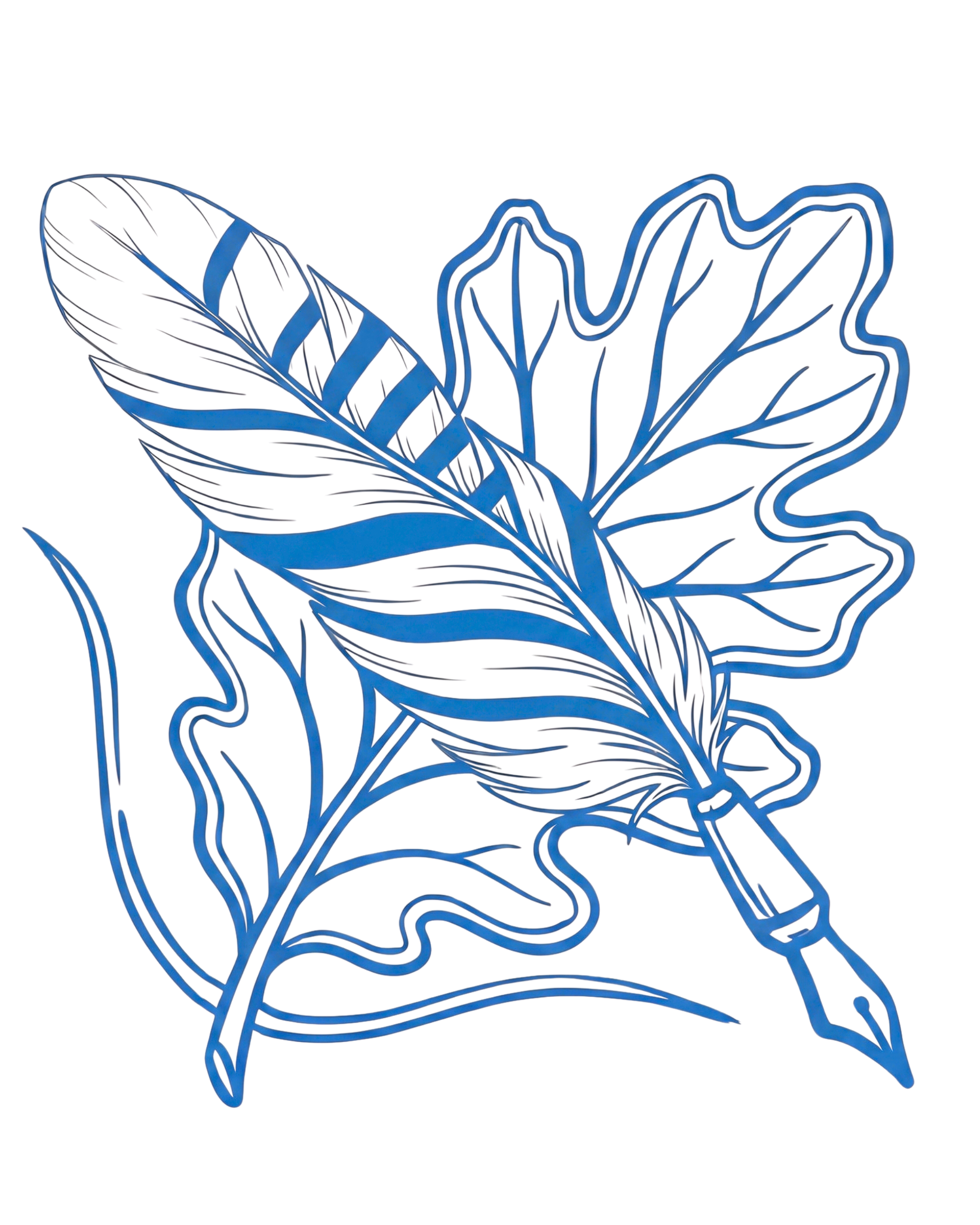 A line drawing of a an oak leaf and a jay feather