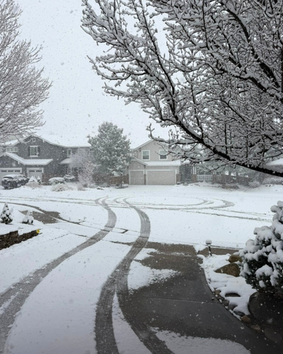 Snow-covered residential neighborhood with tire tracks on driveway, leafless trees, houses, and snowfall.
