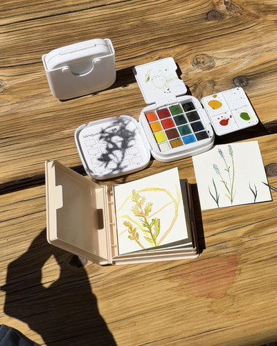 Open watercolor paint set with brushes, sketches of plants, and a closed case on wooden surface.