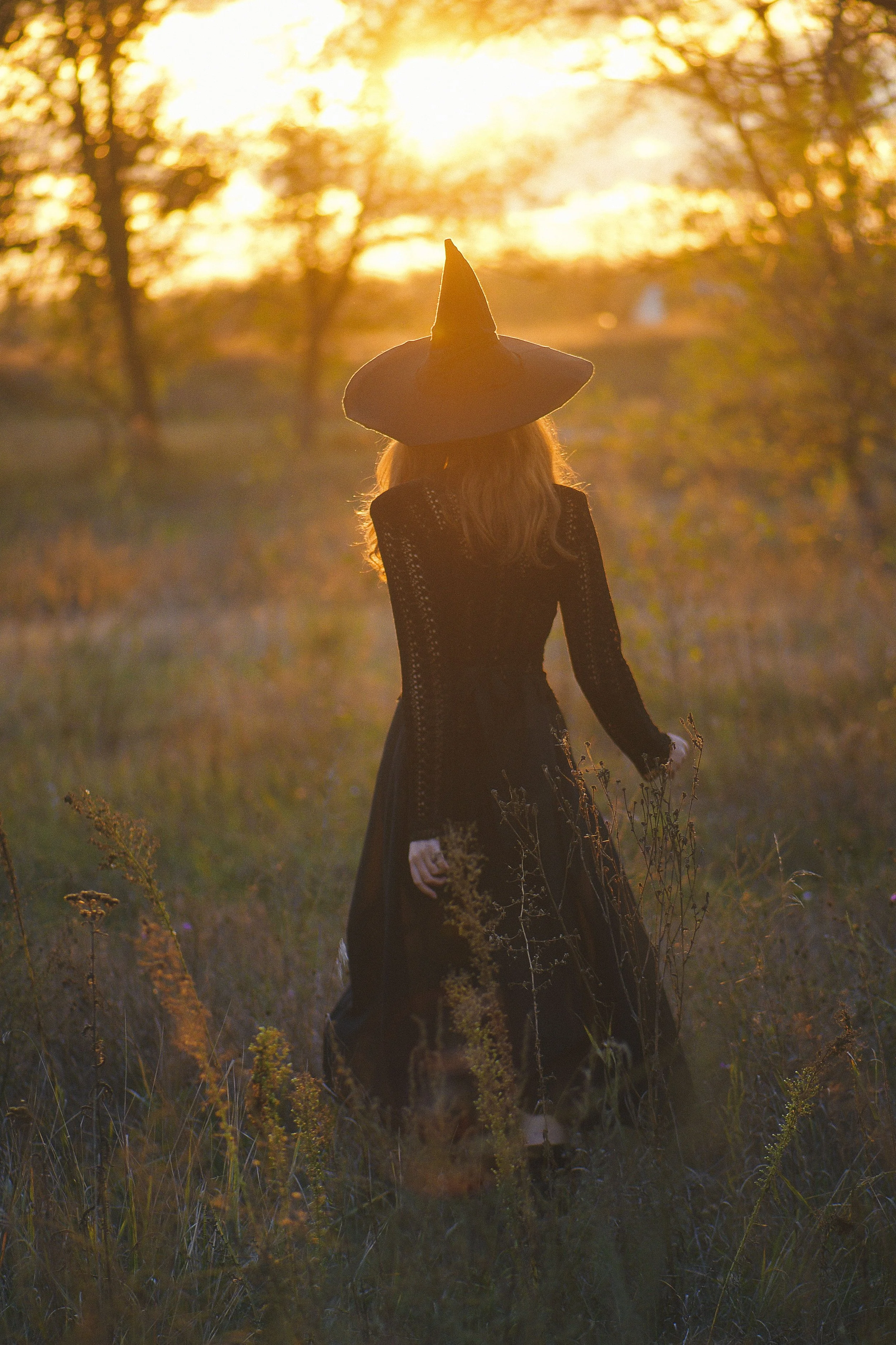 No Witches Were Burnt Alive During the Making of This Story by Addison McGurn