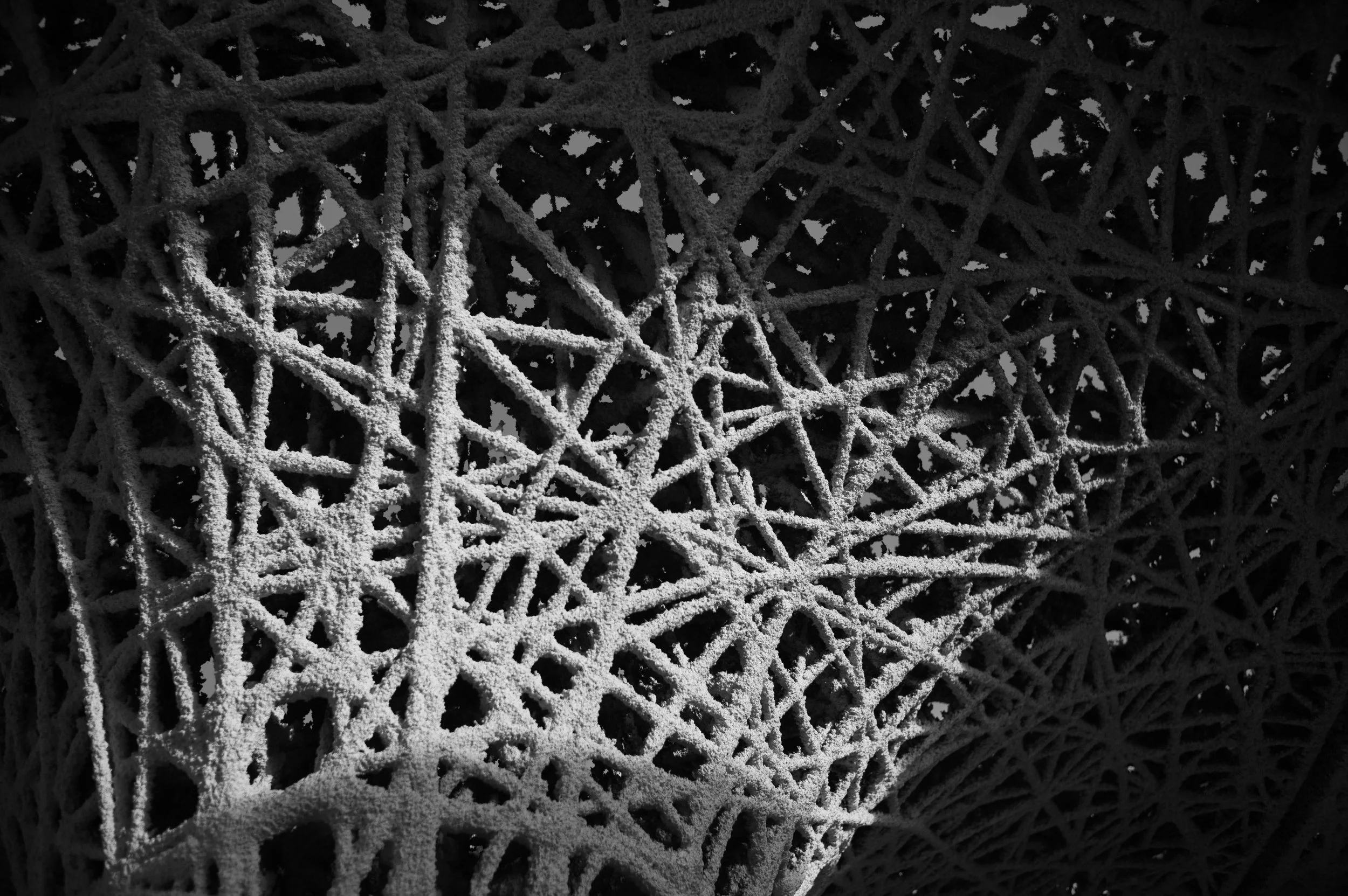 L1000472.jpg