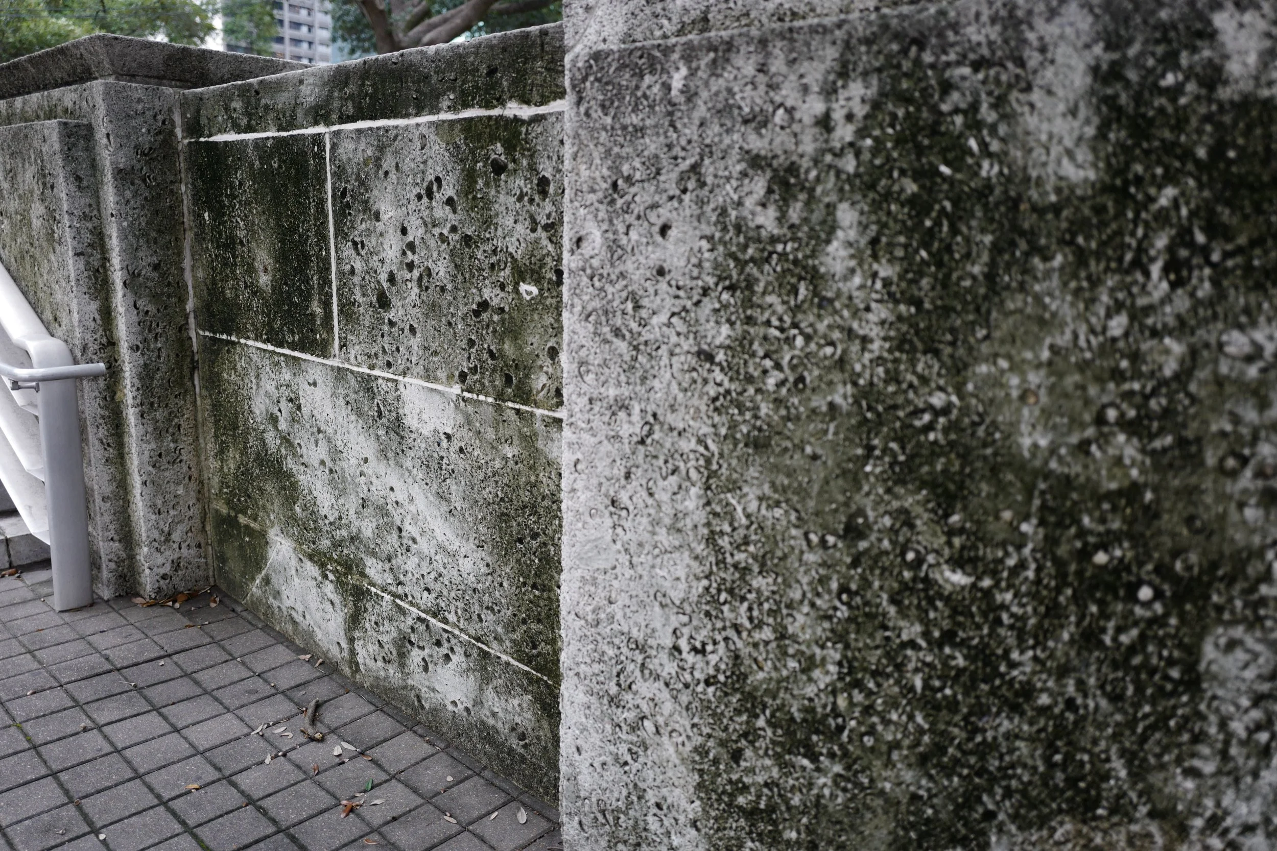 L1000551.JPG