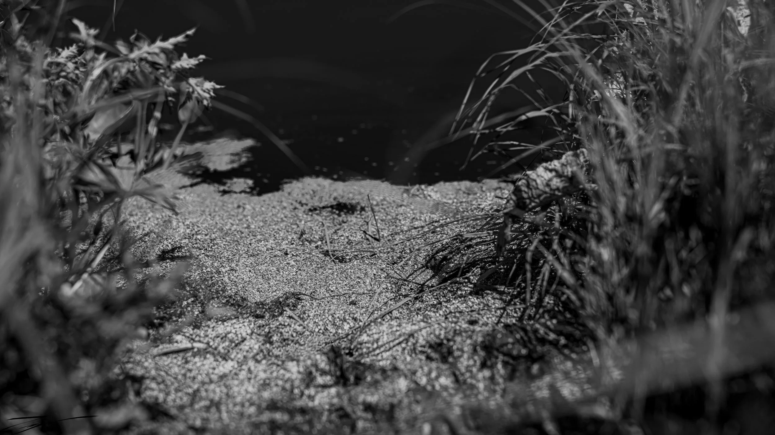 DSCF0403.jpg
