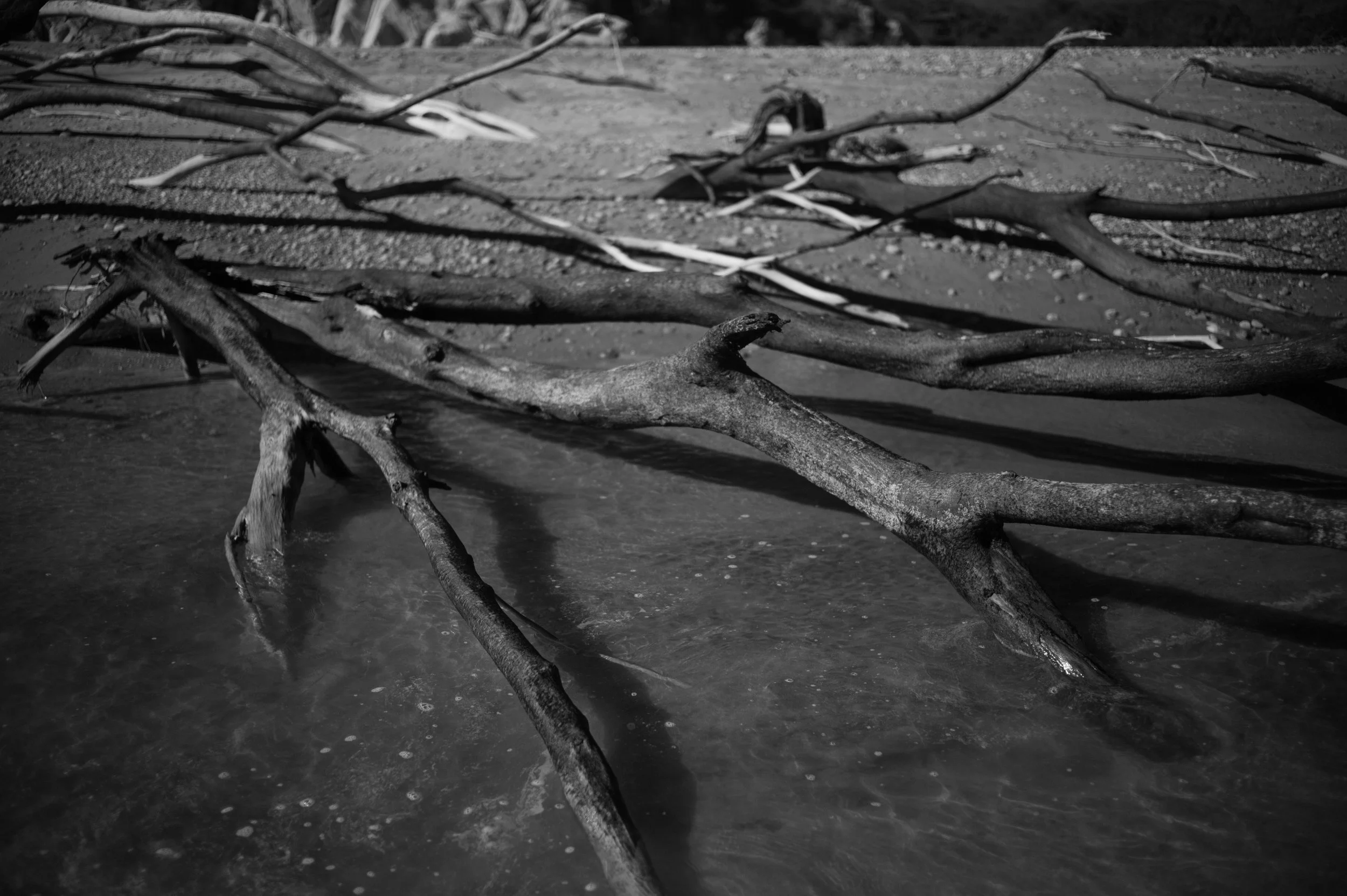 L1000382.jpg