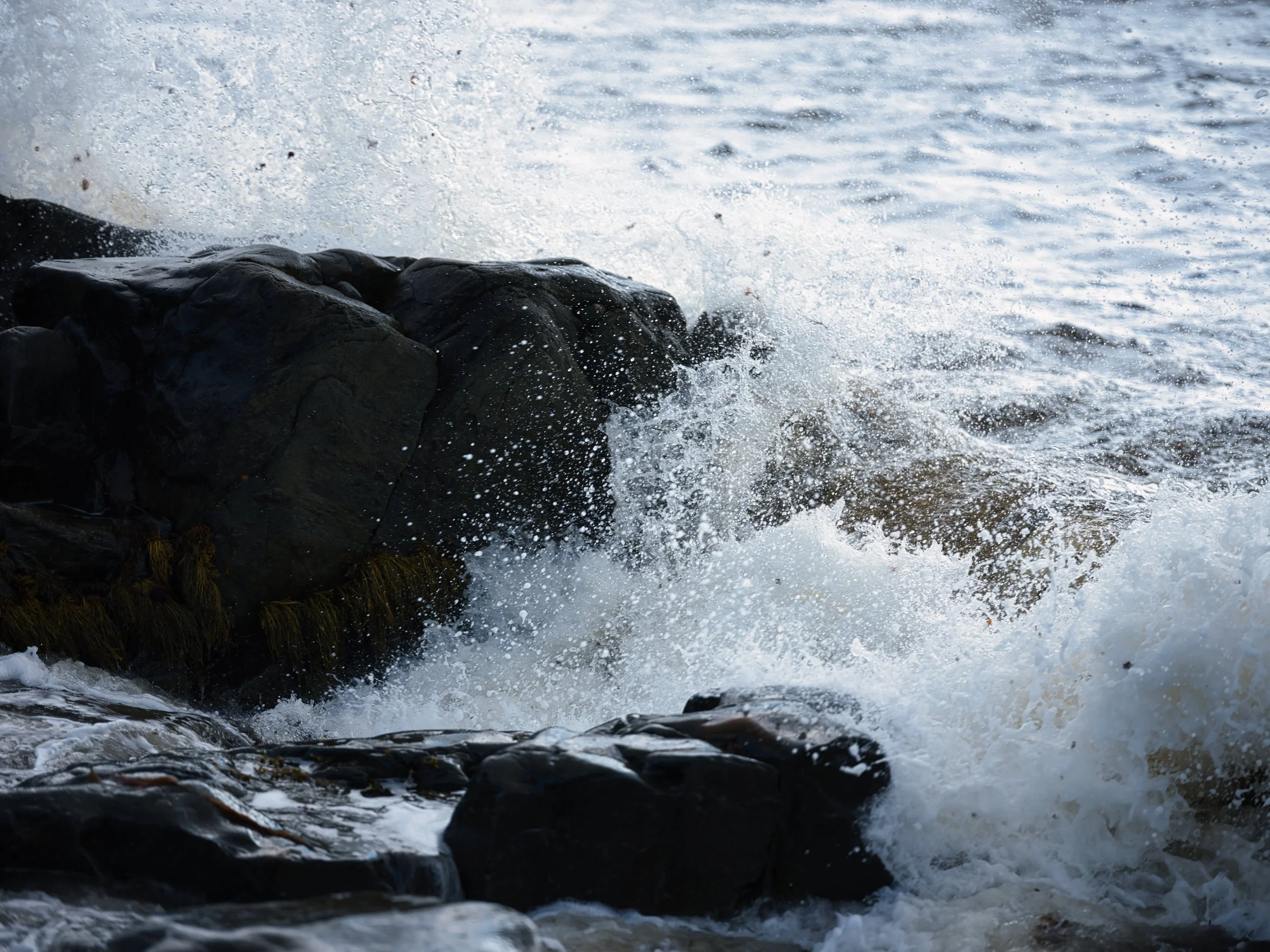 DSCF0104.jpg