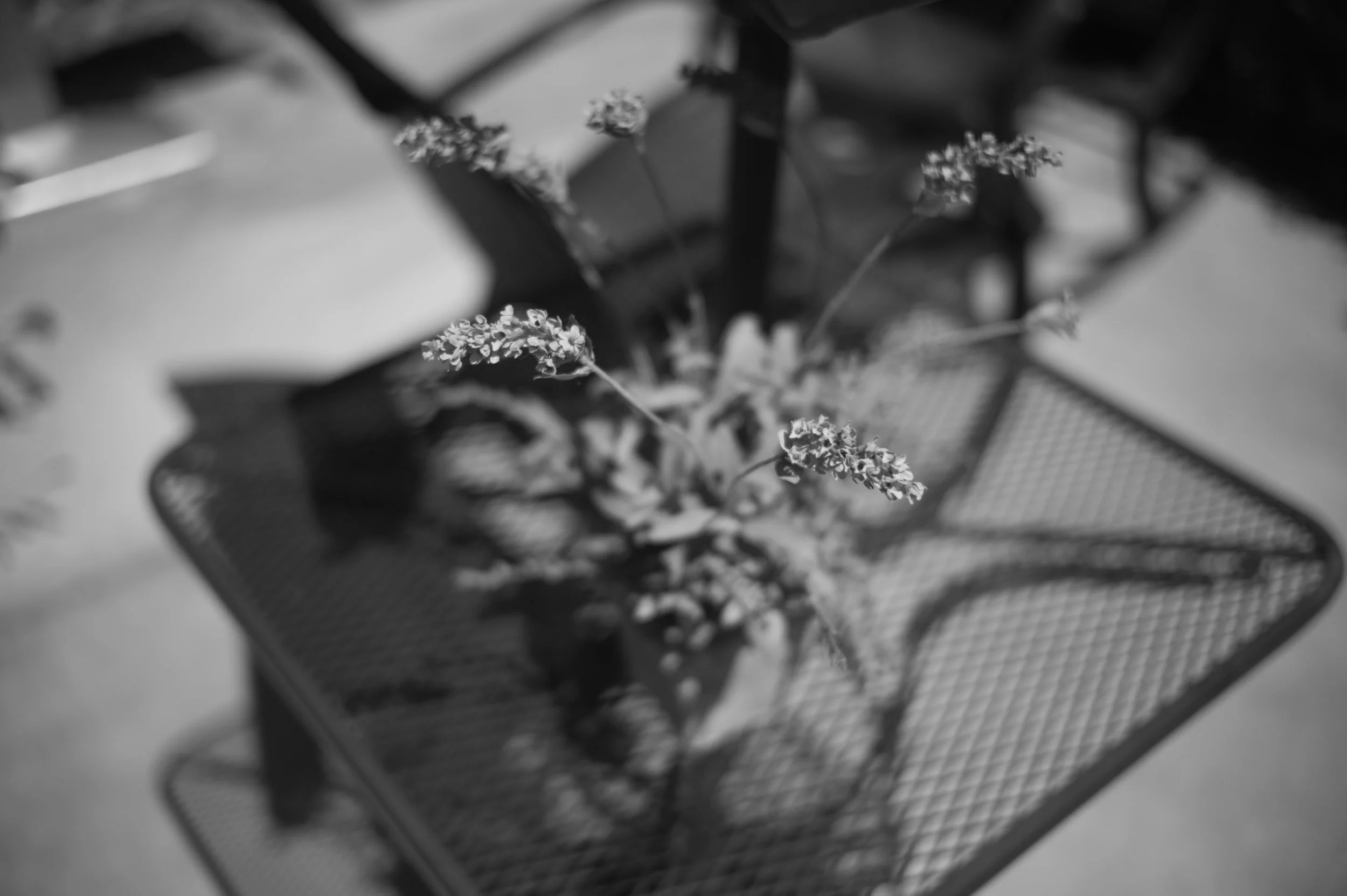 L1000479.jpg