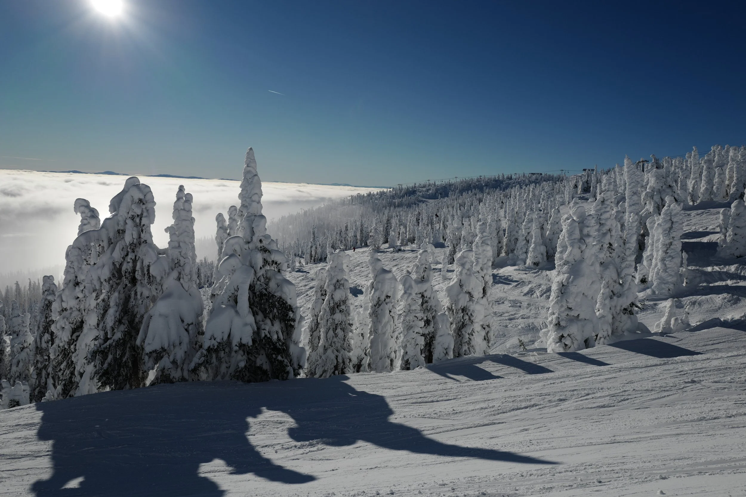 L1000204.JPG