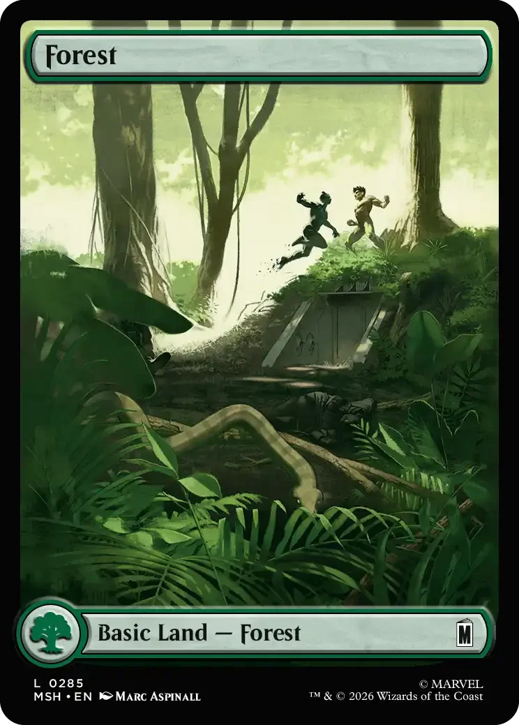 Forest