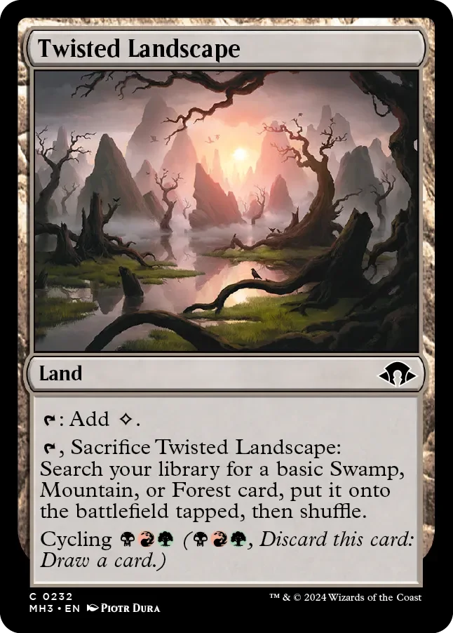 Twisted Landscape