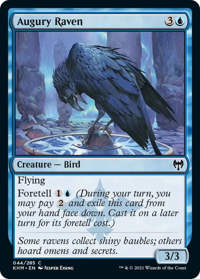 Augury Raven