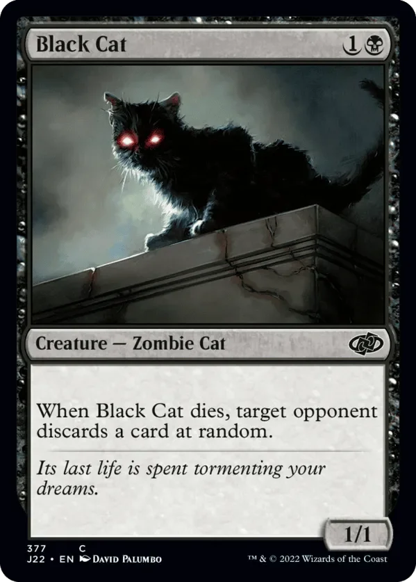 Black Cat 377.webp