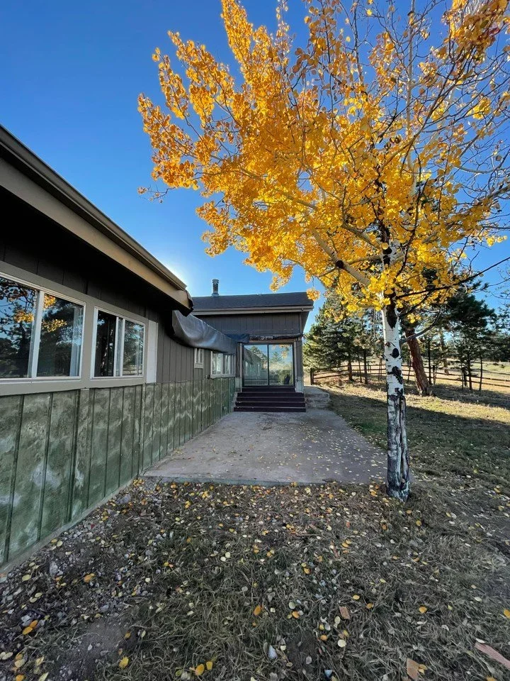 Clubhouse2.webp