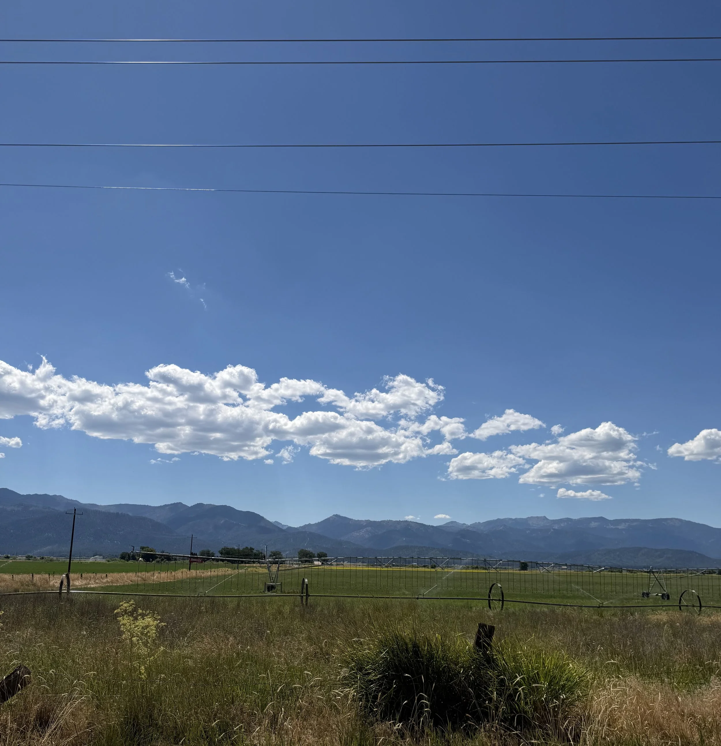 Vast rural landscape with green fields, distant mountains, a bright blue sky with scattered white clouds, and three power lines running horizontally across the sky.