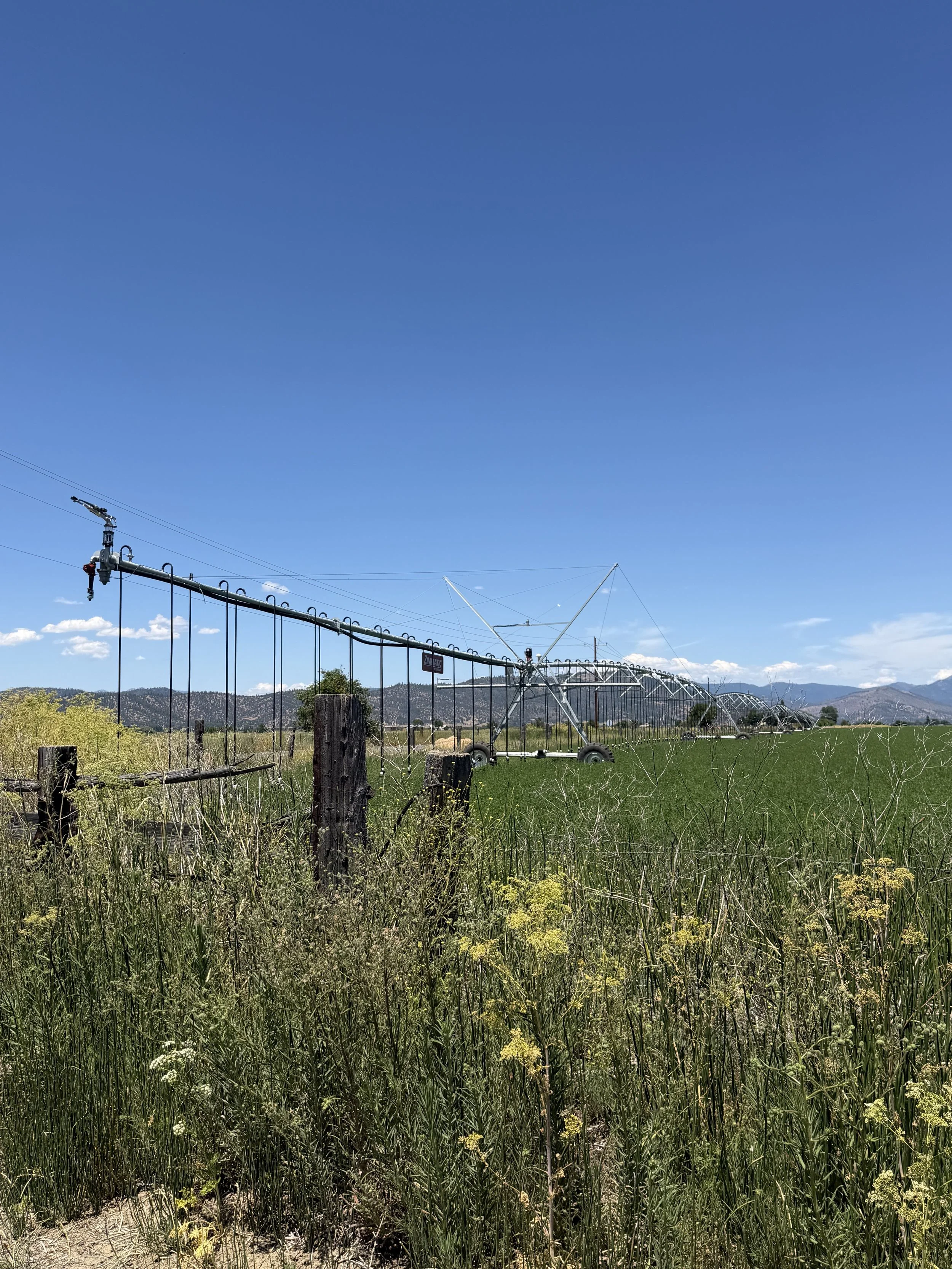 An agricultural field with a center pivot irrigation system, surrounded by green grass and wildflowers, with mountains in the background under a clear blue sky.