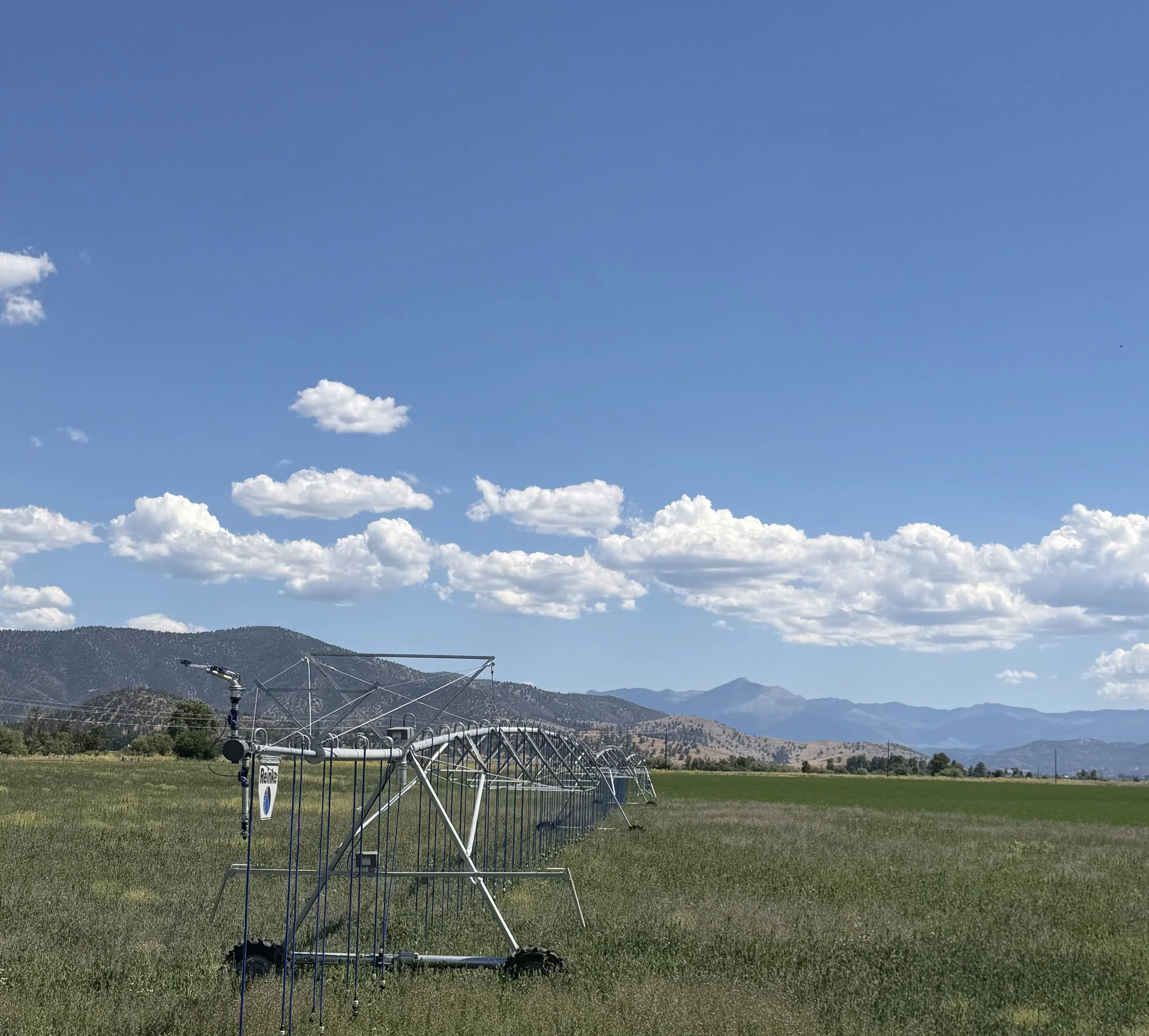 An irrigation system with sprinklers set up in a green field, mountains in the background, and a partly cloudy blue sky overhead.