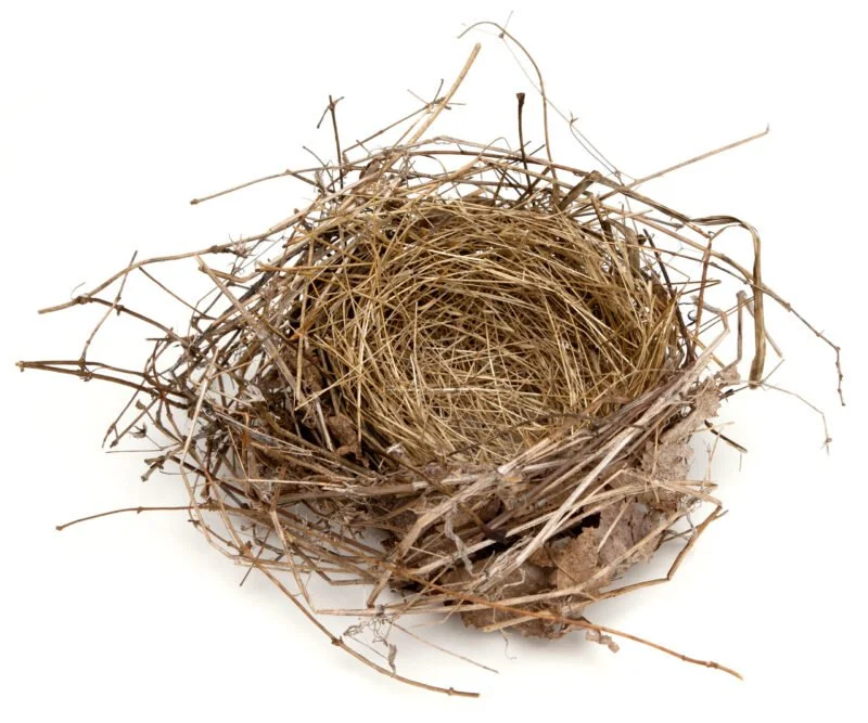 How to Prepare for an Empty Nest