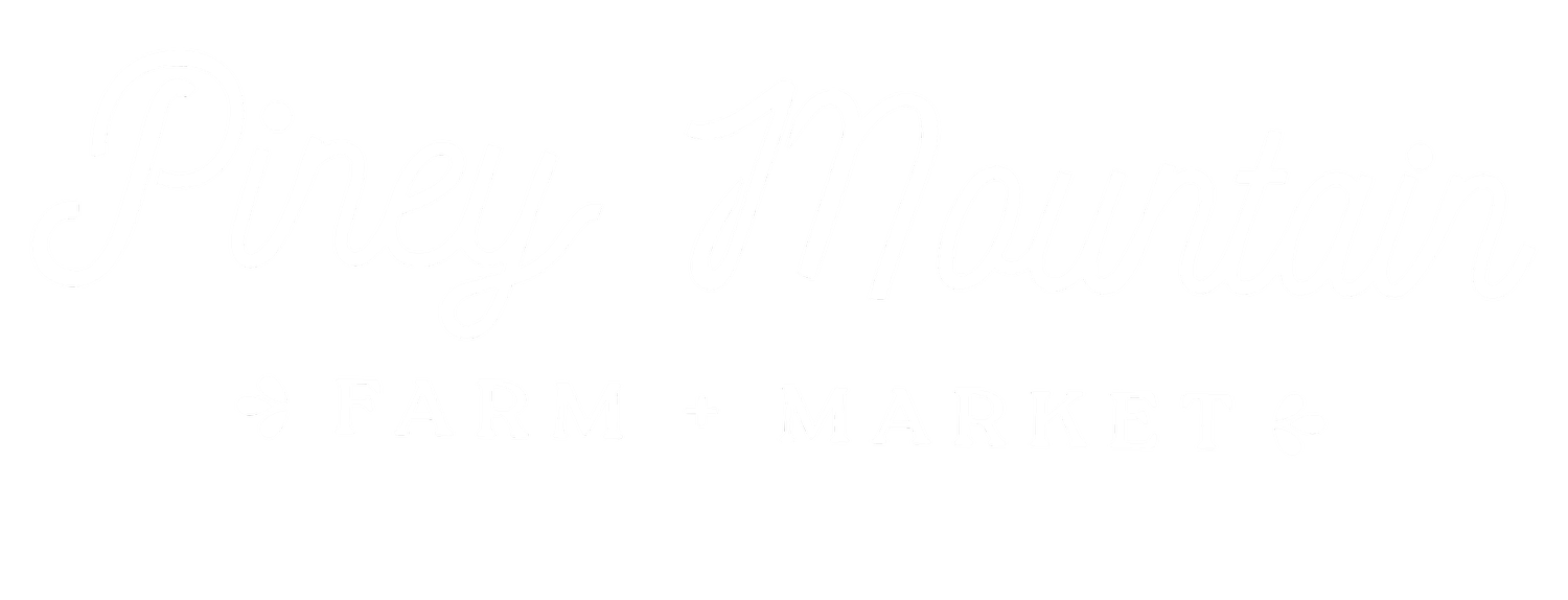 Your Site Title