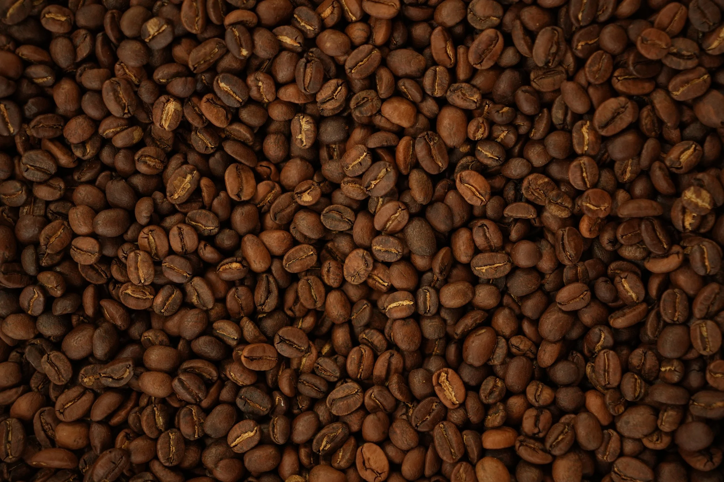 Close-up of roasted coffee beans evenly spread out.