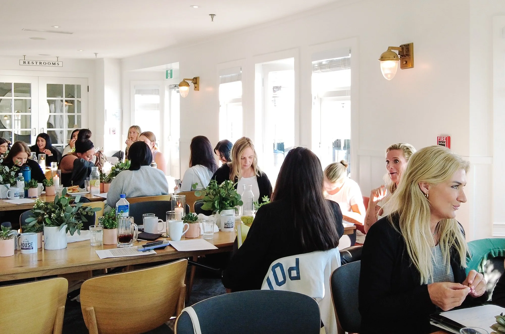 Group of women and men sitting at tables in a bright restaurant, engaged in conversation and smiling, with decorative green plants and candles on the tables, and natural light coming through windows.