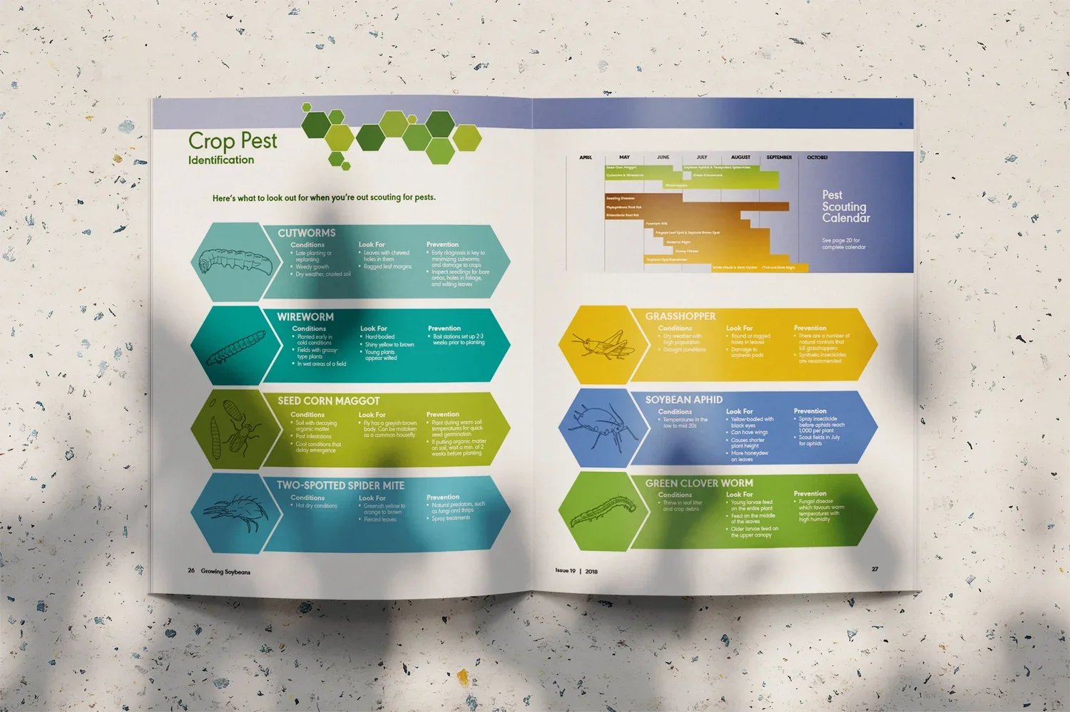 Growing+Soybeans+– Magazine+Spread+2.jpg.webp