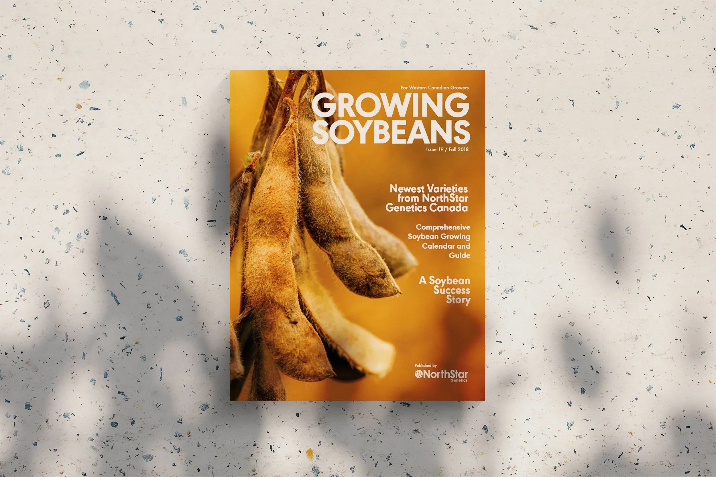 Growing+Soybeans+– Magazine+Cover.jpg.webp