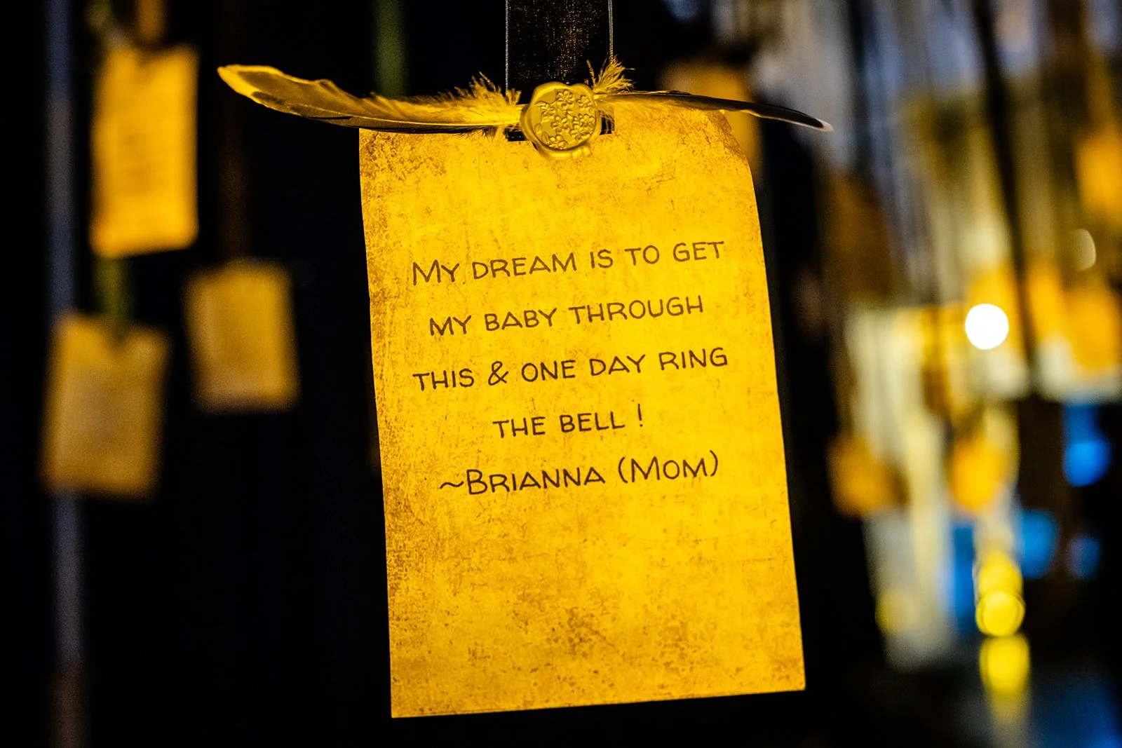 FLINT-RCF-2026-Night_Of_Dreams-1013.jpg
